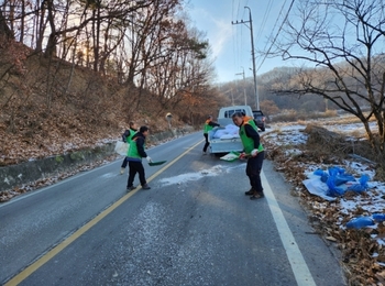 메인사진