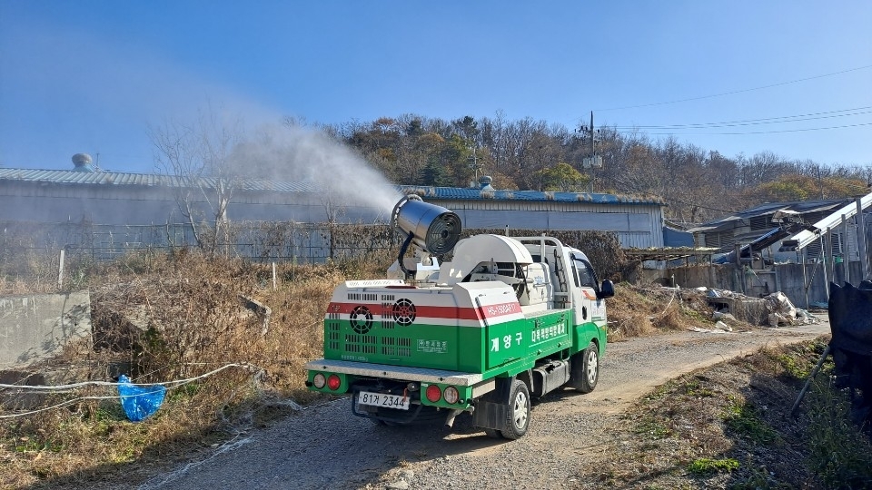 메인사진