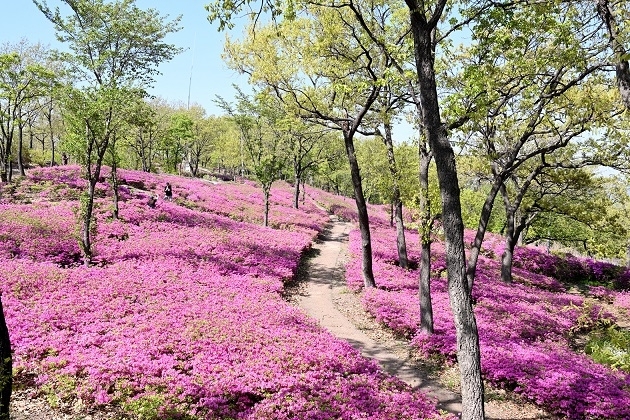 메인사진