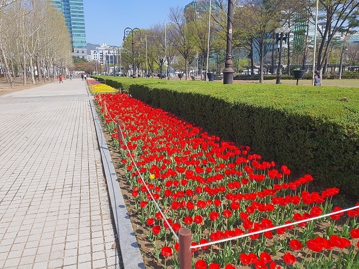 메인사진