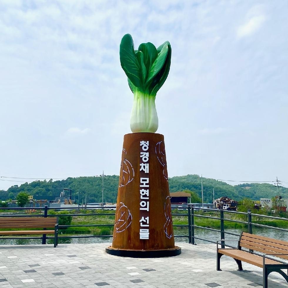 메인사진