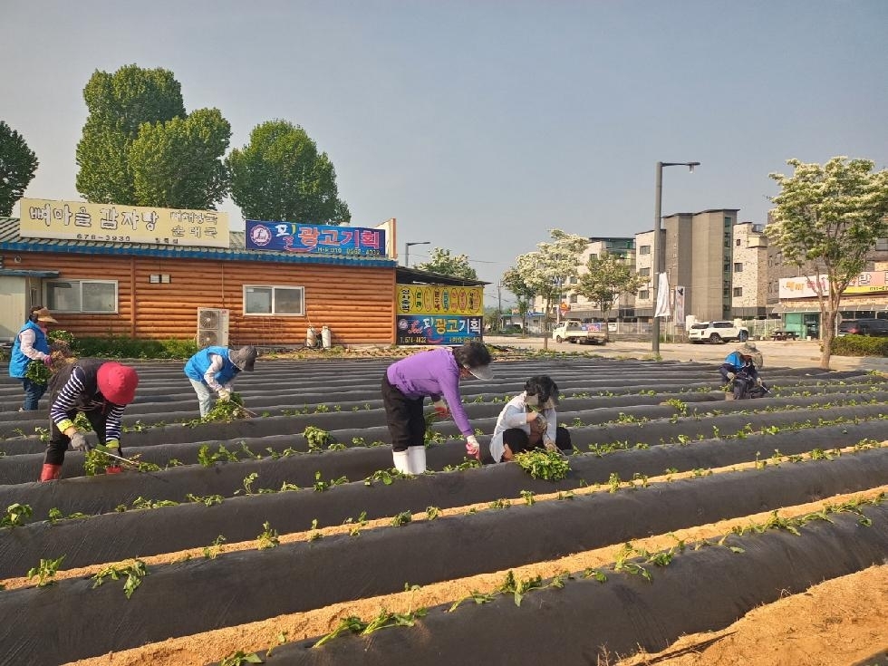 메인사진