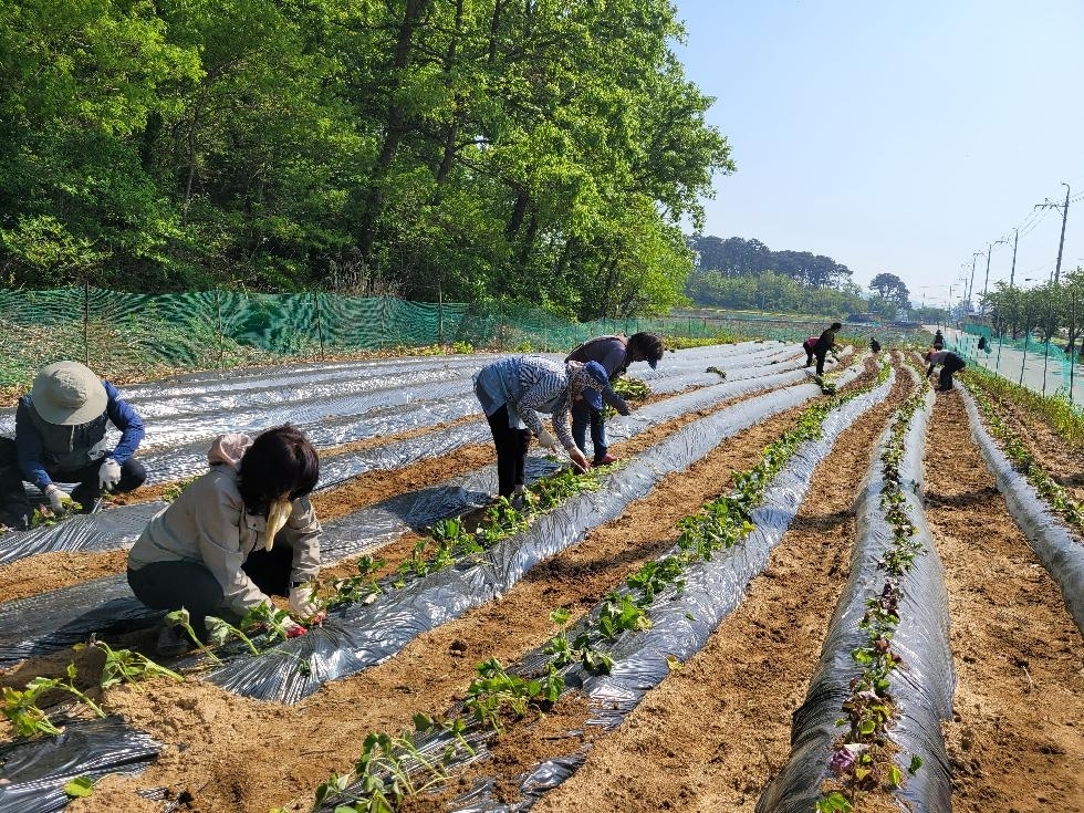 메인사진