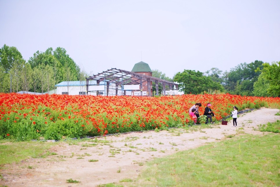 메인사진