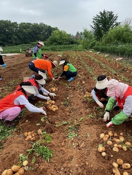 메인사진