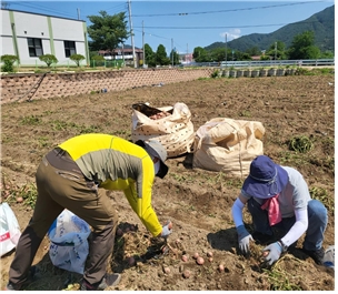 메인사진