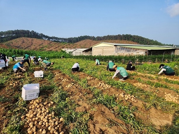 메인사진