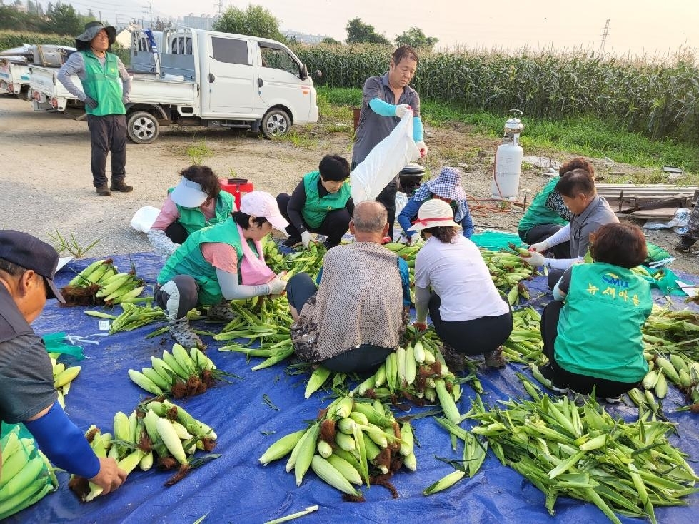 메인사진