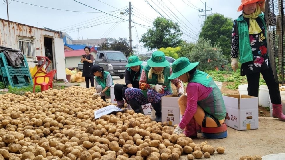 메인사진