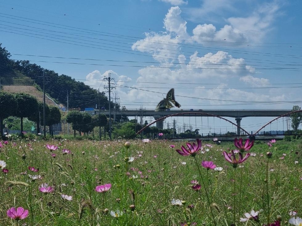 메인사진