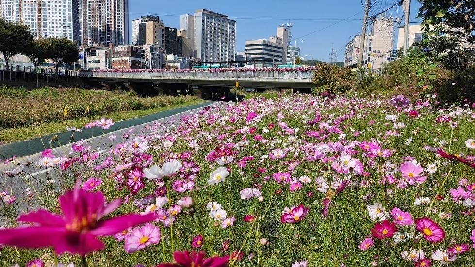 메인사진