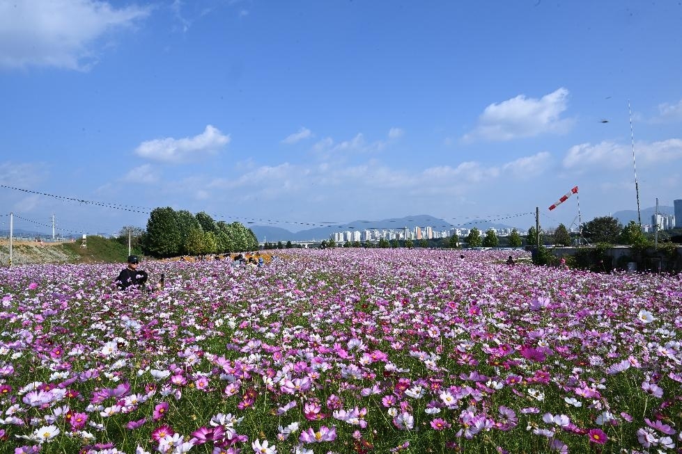 메인사진