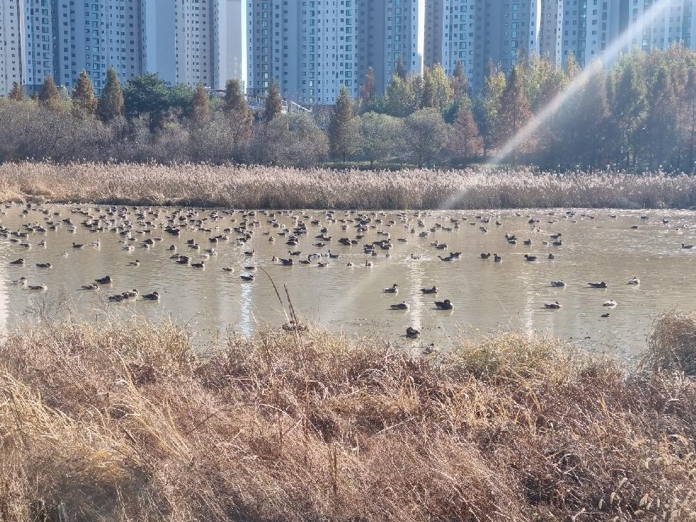 메인사진