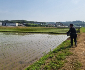 메인사진