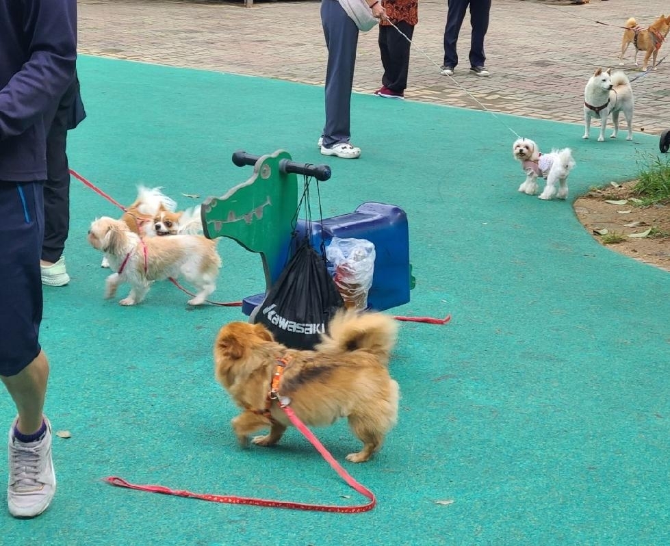 메인사진