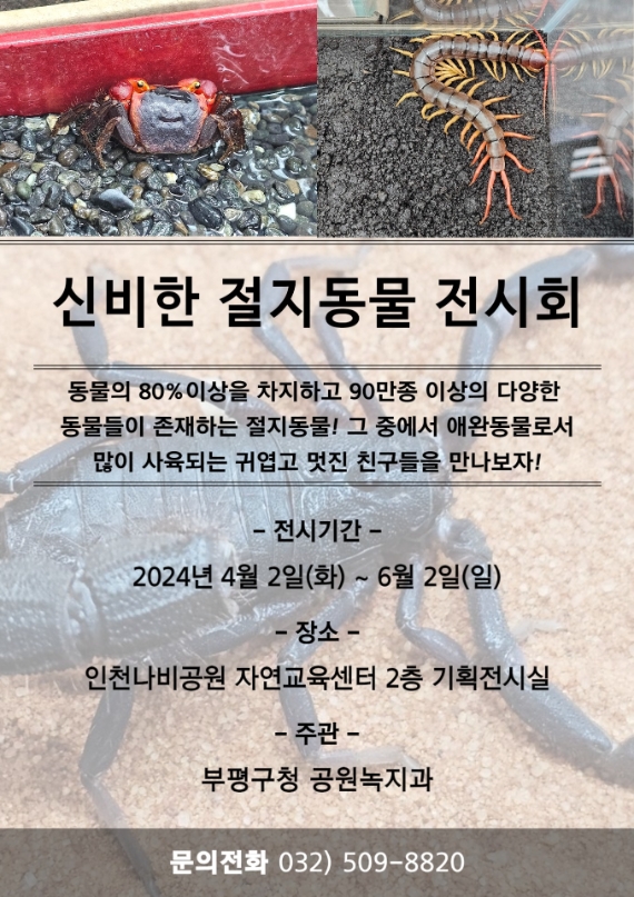 메인사진