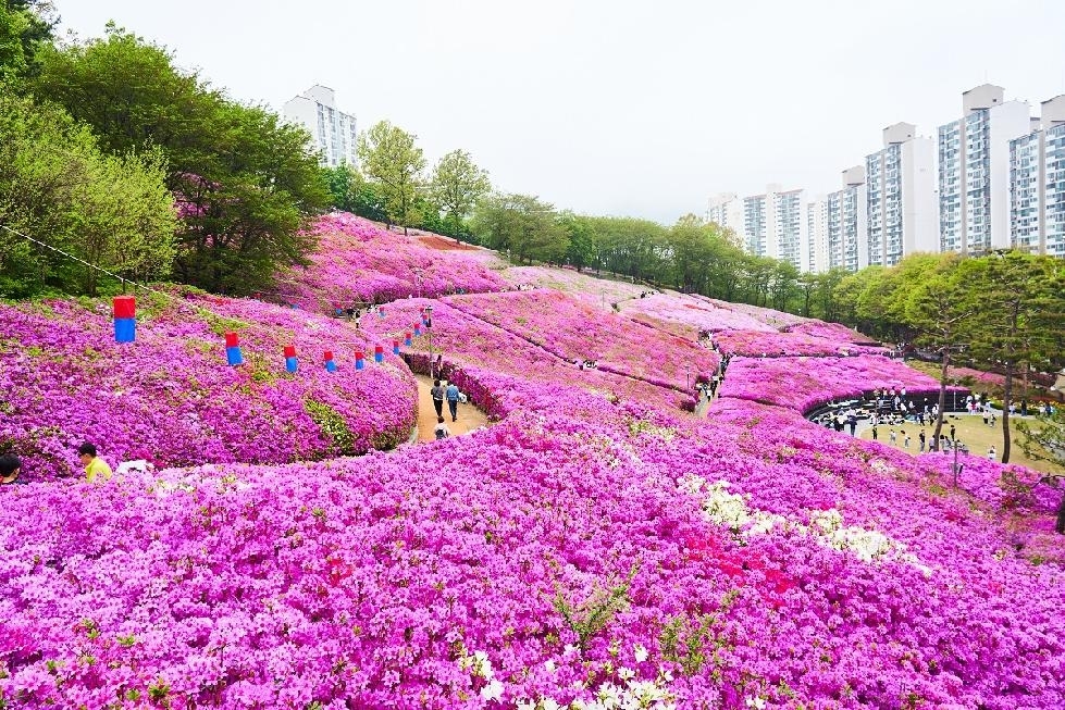 메인사진