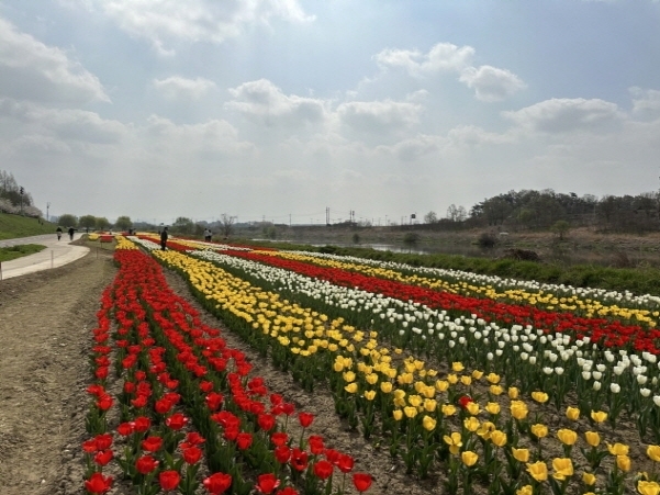 메인사진