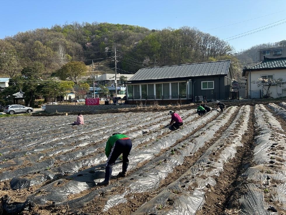 메인사진