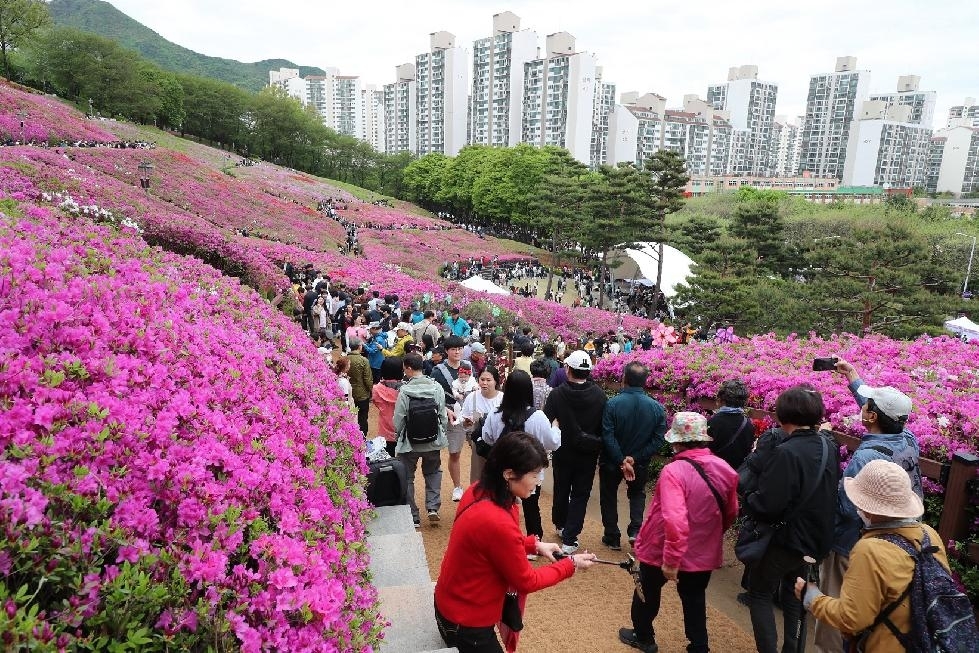 메인사진