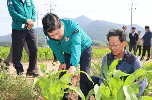 메인사진