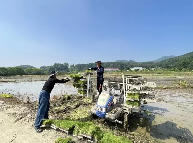 메인사진