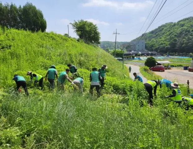 메인사진