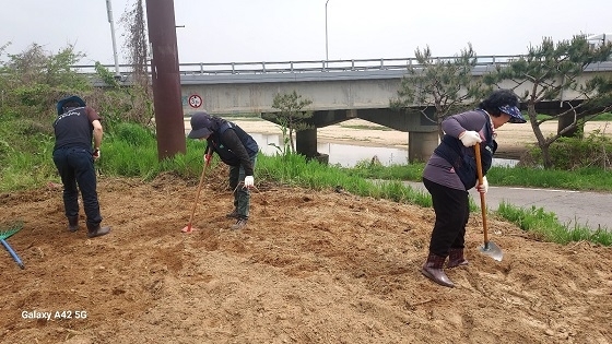 메인사진