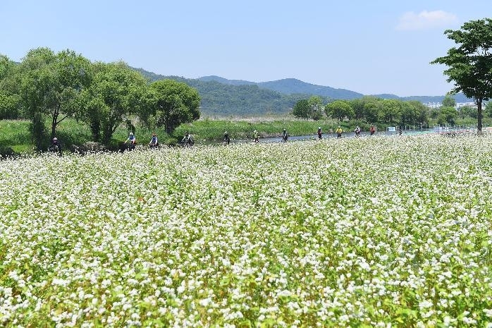 메인사진