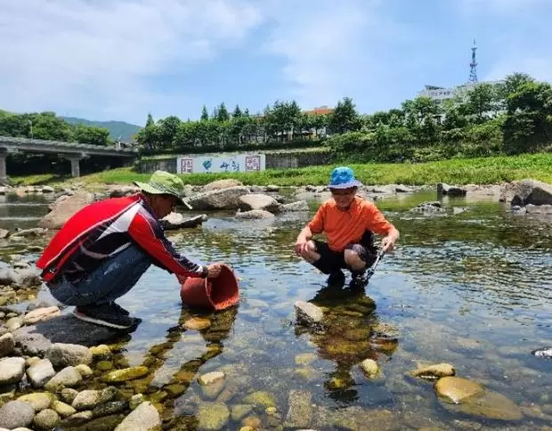 메인사진