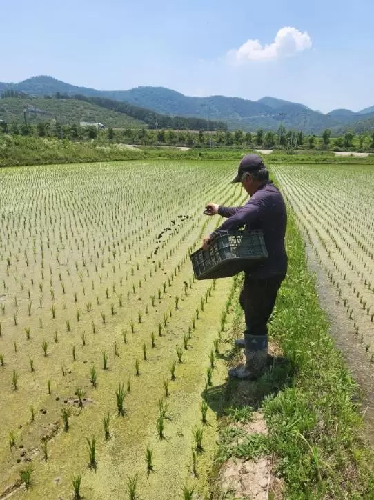 메인사진