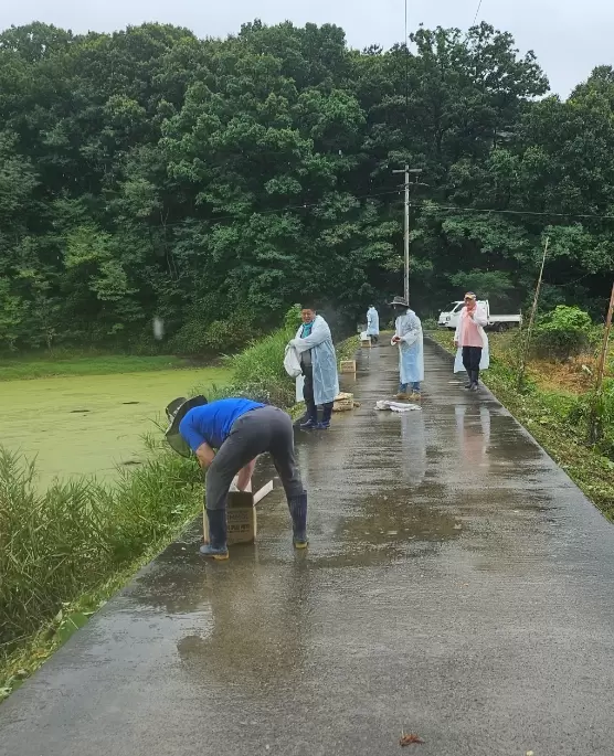 메인사진