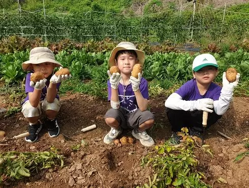 메인사진