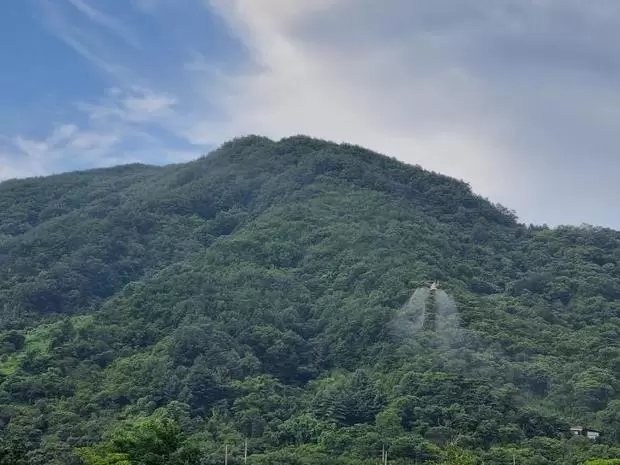 메인사진