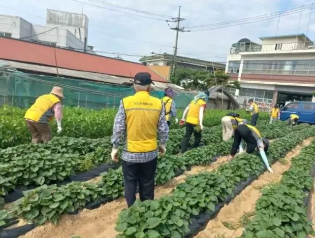 메인사진