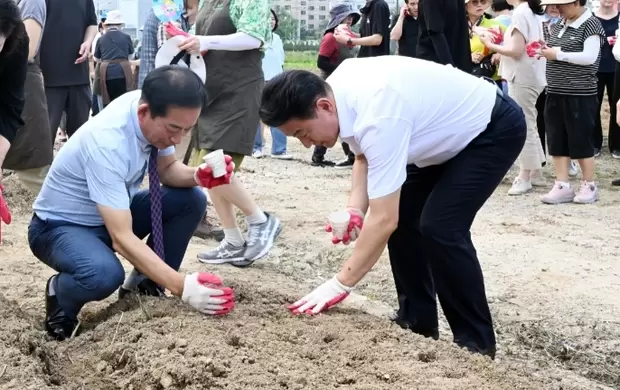 메인사진