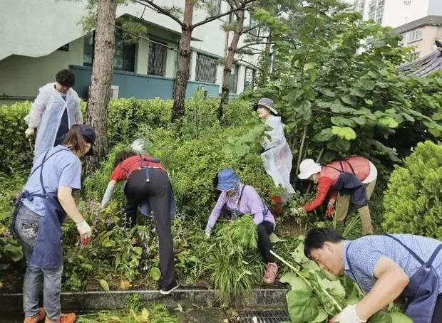 메인사진