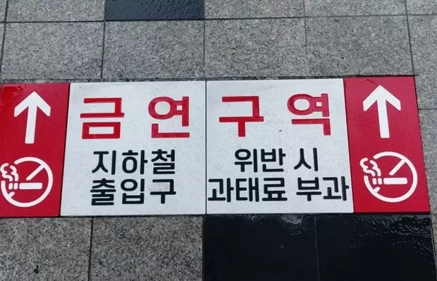 메인사진