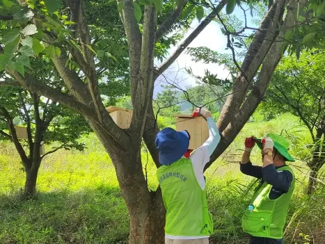 메인사진