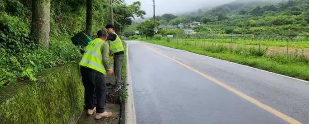 메인사진