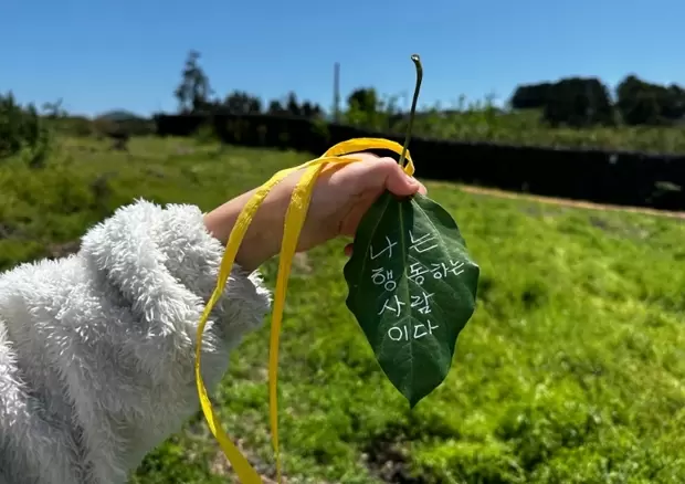 메인사진