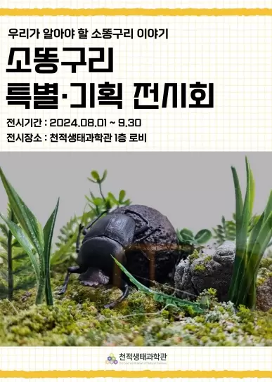 메인사진