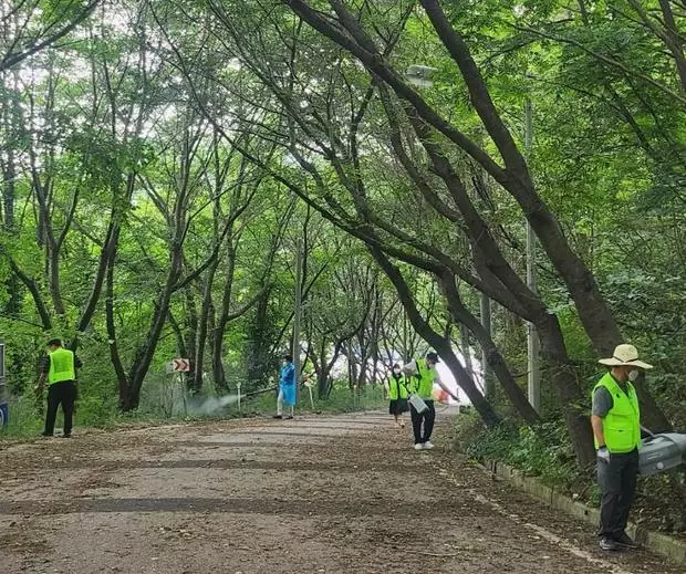 메인사진