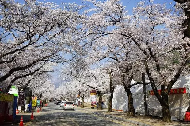 메인사진