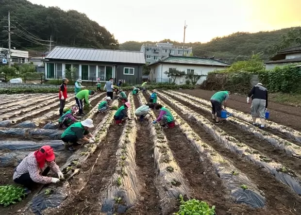 메인사진