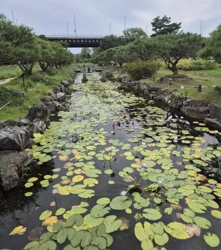 메인사진