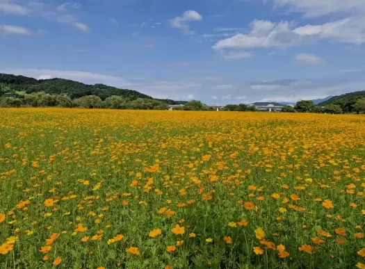 메인사진