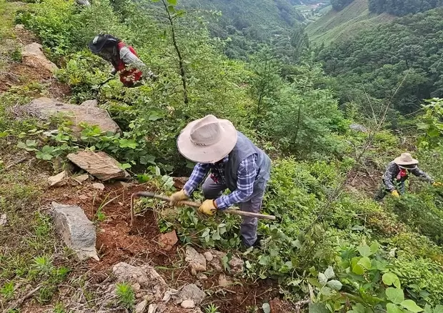 메인사진