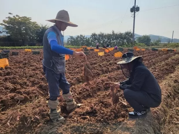 메인사진