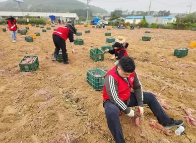 메인사진